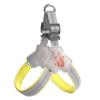 Reflective Breathable Dog Harness and Leash Set for All Sizes