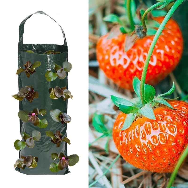Erdbeer-Pflanztasche Hängende Pflanztaschen Garten-Anzuchttasche Gartenbedarf Gemüse Obst Pflanztopf