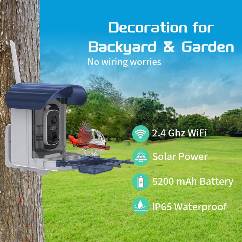 Solar-Powered Hummingbird Feeder with Camera & Remote Control
