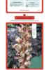 8-Volume Compendium: Chinese Food Therapy & TCM Remedies for Health Preservation