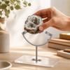Metal Mineral and Crystal Display Stand Stable for Shelves