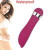AV Stick Adult Product Multispeed G-Spot Massager Sex Toys For Women