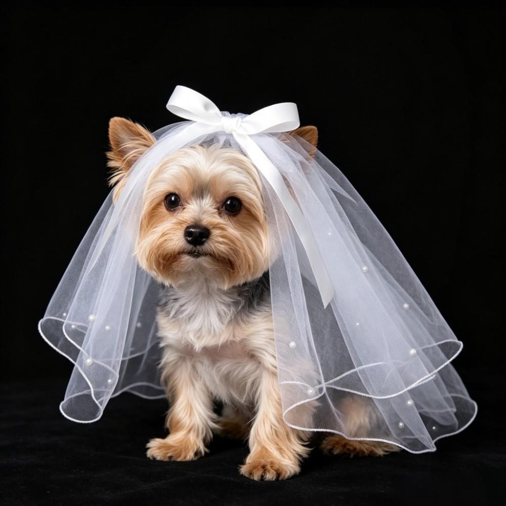 Voal Panglică Pisică Neagră Costum Mireasă Cățel Alb Accesorii Păr Câine Produse Animale de Companie