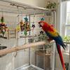 Colorful Star Parrot Climbing Net Hanging Bird Stand Net Creative Bird Cage Toy  Indoor