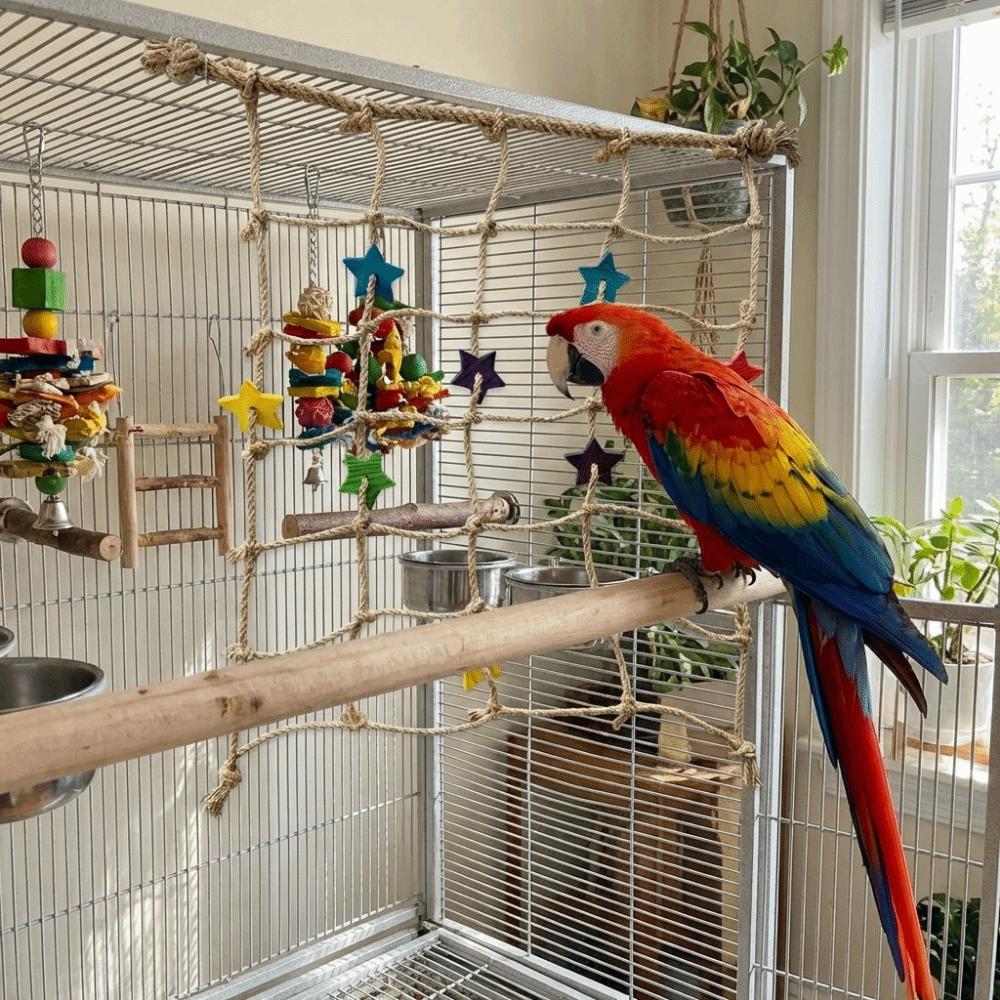 Colorful Star Parrot Climbing Net Hanging Bird Stand Net Creative Bird Cage Toy Indoor