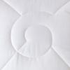 Luolai Anti-mite & Anti-bacterial Silk & Soy Fiber Quilt