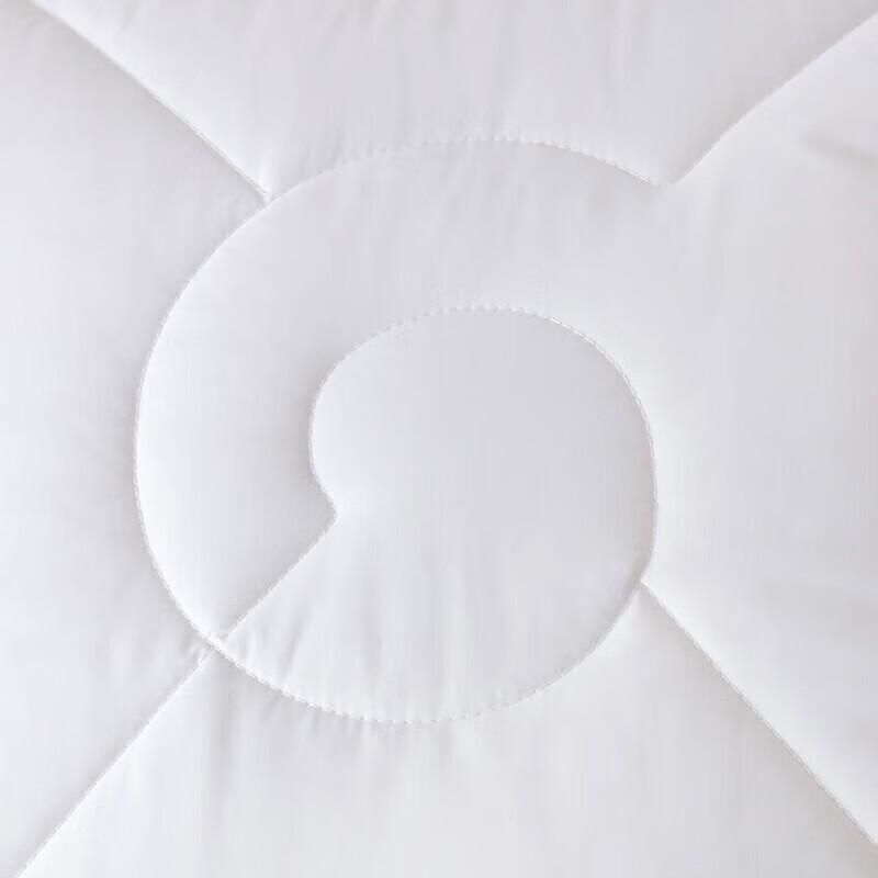 Luolai Anti-mite & Anti-bacterial Silk & Soy Fiber Quilt