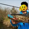 Mini Thunderfrog Lure Bait Simulation Road Subfalse Bait Soft Bait Lure Bait Black Fish Bait Modification Thunderfrog Soft Bait