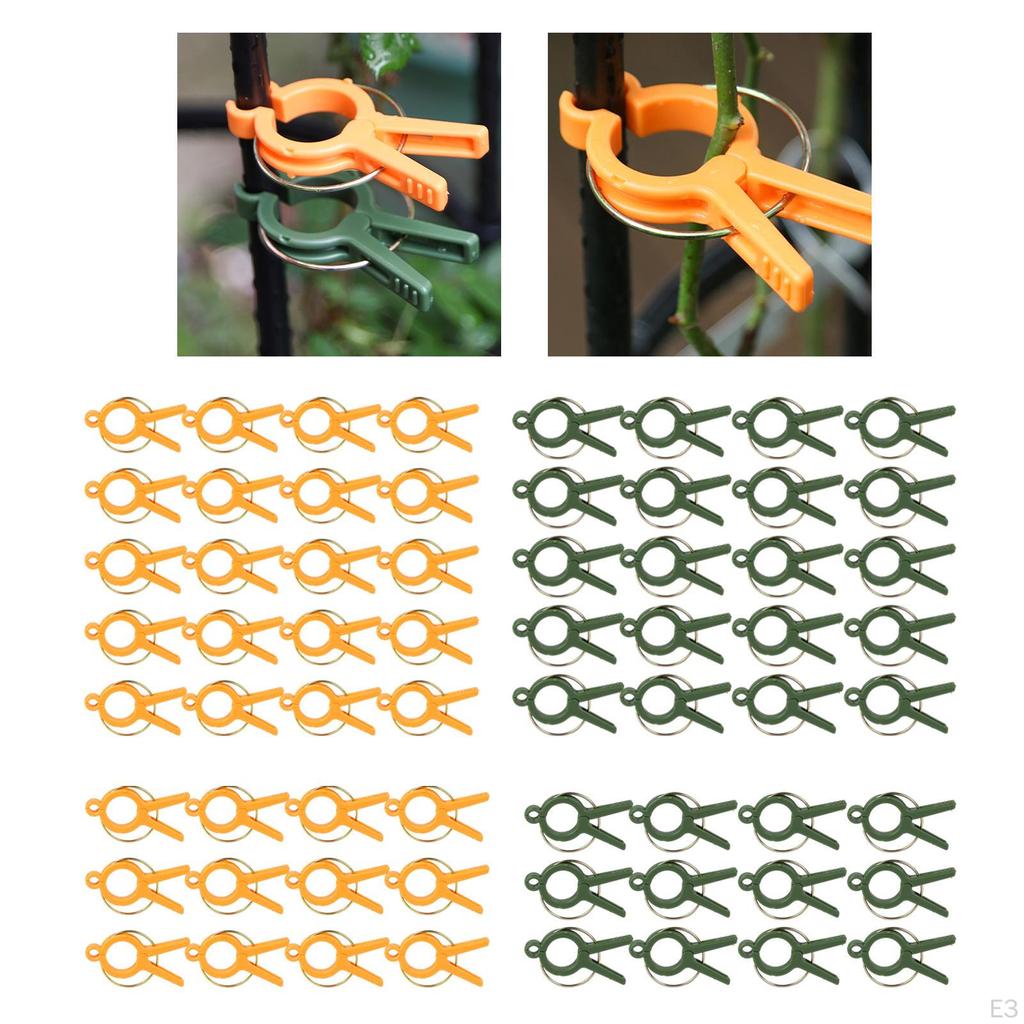Flower and Vine Clips for Climbing Plants