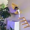 Cat Climbing Shelves Tree Cat Hammock Wall Mounted Tower Hand Woven Cat Wall Hanging House Macrame Detachable Steps & Platform
