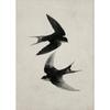 Vintage Botanical Flying Bird Rustic Horse Equestrian Rider Hunting Dog Poster Canvas Painting Print Wall Art Picture Home Decor