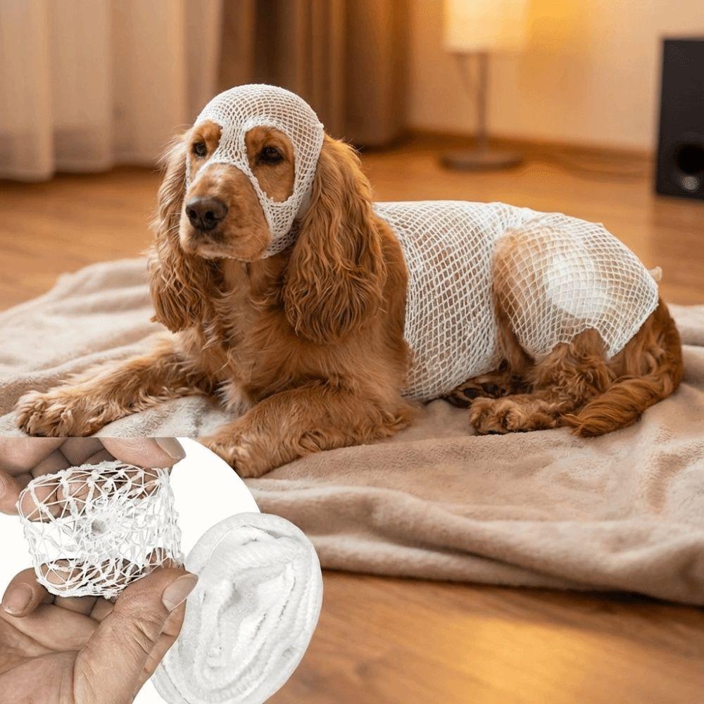 Copertura protettiva traspirante per animali domestici Manicotto a rete elastica per ginocchio e zampa Recupero ferite