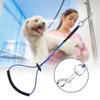 Adjustable Length Grooming Restraint Single Buckle Steel Wire Loop  Table Fixing