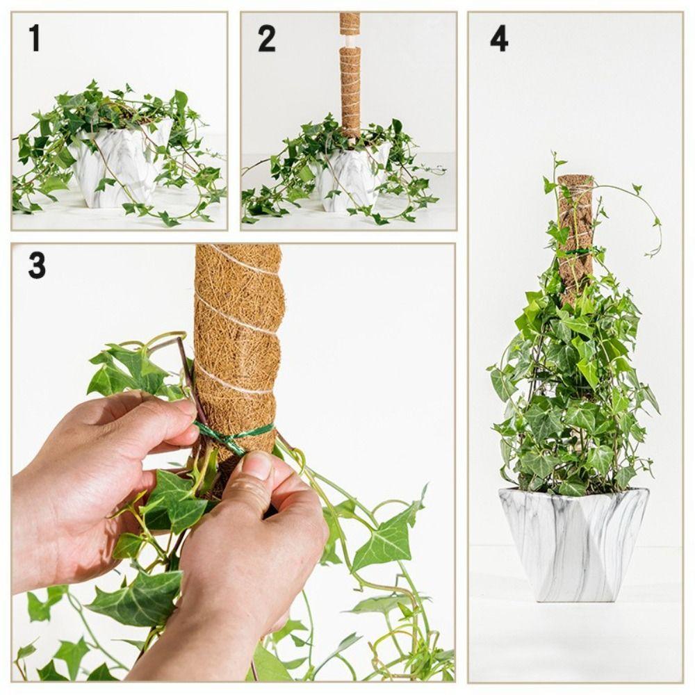 Detachable Moss Pole 32/42/52cm To Grow Upwards Plant Climbing Pole Gardening Tools Plants Climbing Support Outdoor