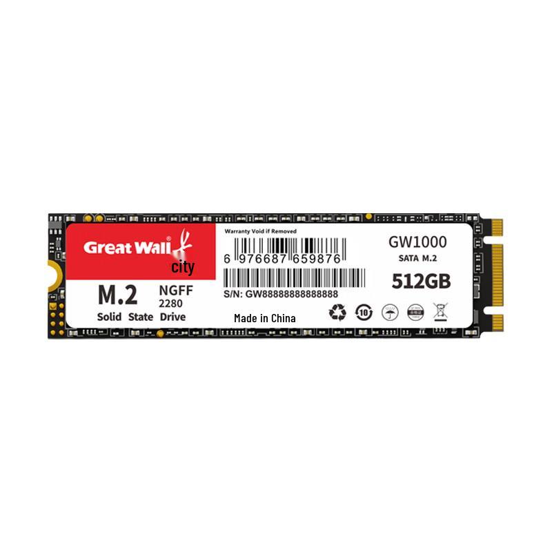 Great Wall GW1000 512GB M.2 SATA SSD