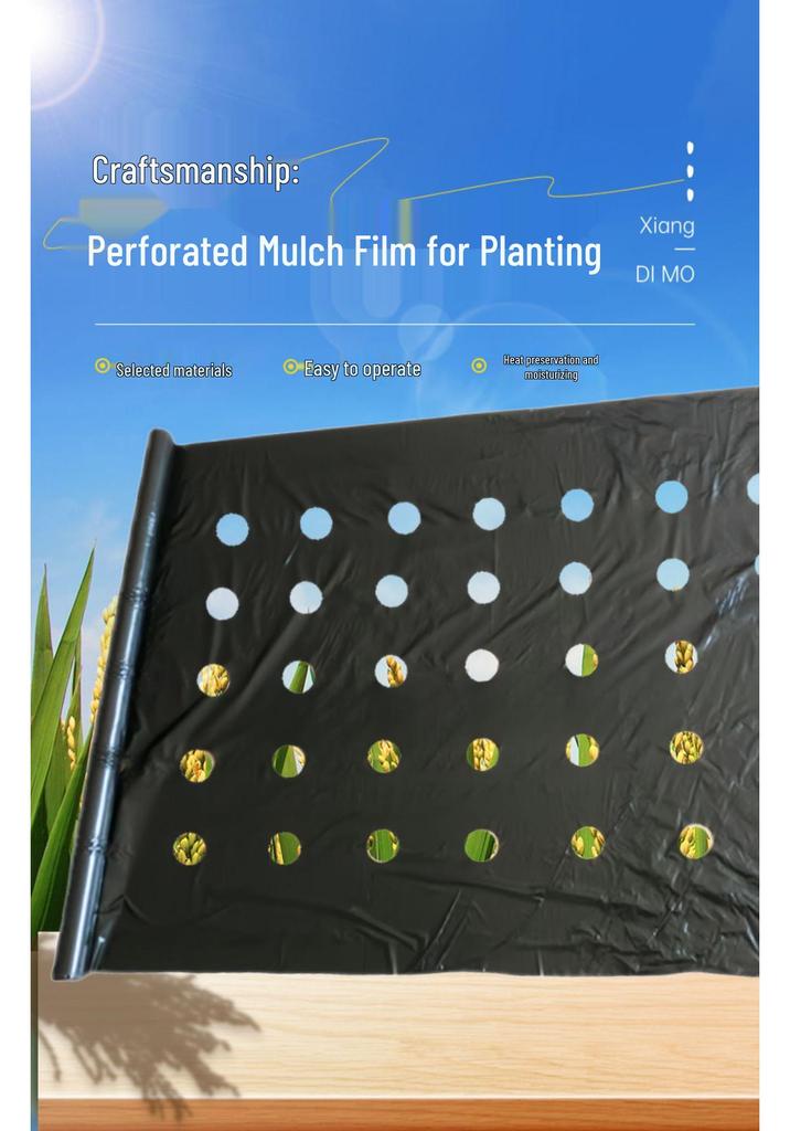Perforated Black Mulch Film for Moisture Retention and Weed Control in Vegetable and Herbal Planting