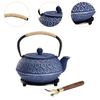 Japanese Cast Iron Teapot Internal Enamel for Loose Leaf Tea Bags Indoor