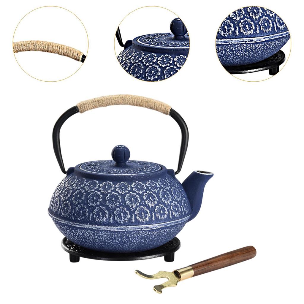 Japanese Cast Iron Teapot Internal Enamel for Loose Leaf Tea Bags Indoor