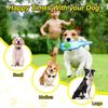 Pet Toys TPR Dog Bites Sound Tennis Bottles Relieving Boredom and Grinding Teeth Pet Toys Interactive Dog Toys
