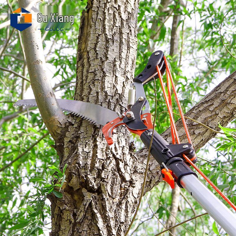 Telescopic High Branch Pruner & Saw