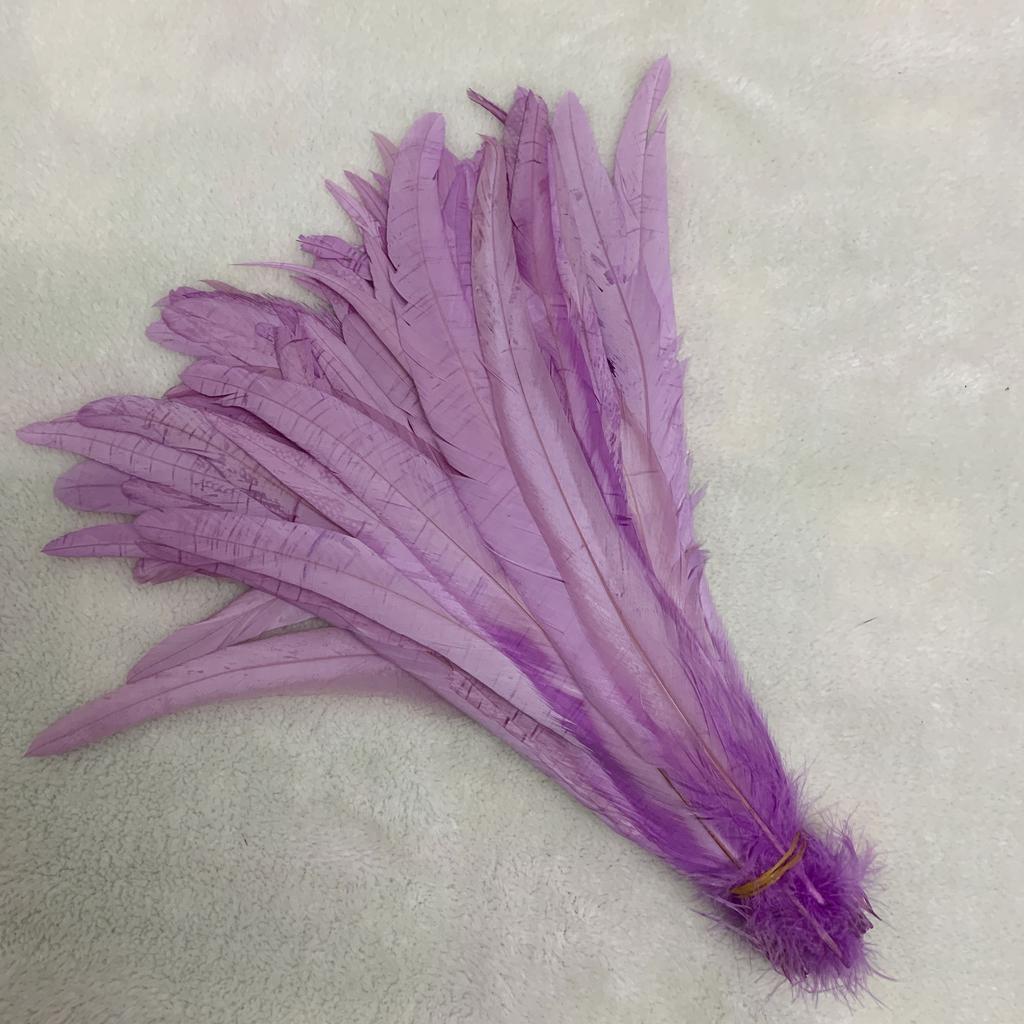 Natural Rooster Tail Feathers, Mint Green Plumes, Diy Cock Clothing, Jewelry Accessories, Party, Whole, 25-45cm,10-18in