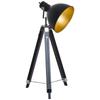Tripod Floor Lamp, Spotlight Reading Lamp w/ Adjustable Height, Angle, Wood Legs for Living Room, Bedroom, Home, Office, Black and Gold