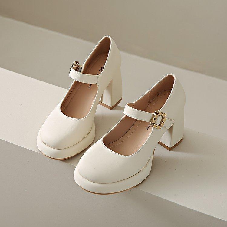 8CM Mary Jane shoes high heels fairy temperament fairy style 2025 new spring commuting thick heel French evening style single shoes