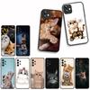 For Samsung Galaxy S25 S23 S22 S24 FE Ultra Plus A56 A05 A06 A15 A16 A57 S7 Edge Phone Cover Case Cat Meow