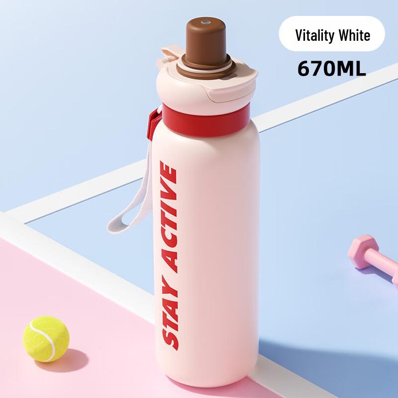 BABLOV Portable Insulated Straw Water Bottle