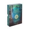 Rassouli SoulÂ´s Journey Oracle Cards