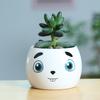 Japanese-Style Cute Mini Succulent Plant Ceramic Small Flower Pot, Simple And Creative Expression Flower Pot, New Succulent Flower Pot