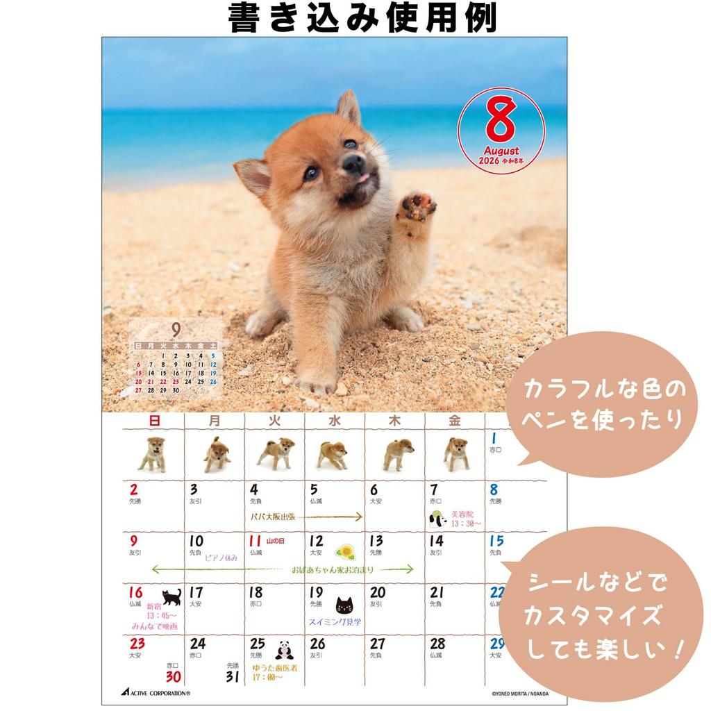 Active Corporation 2026 Desk Calendar by Morita Featuring a Shiba Inu Starting In January 2026 Yoneo, (26ACL-543),