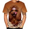 Kawaii Poodle Dog 3D Print Animal T-shirts Men Woman Fashion Streetwear Short Sleeve T Shirt Harajuku Tops Tees Kids Clothing
