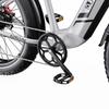 DUOTTS F26 Lite Electric Bike 48V 18AH Battery 750W Motor 26*4.0 Inch Tire 80-90KM Range E-Bike