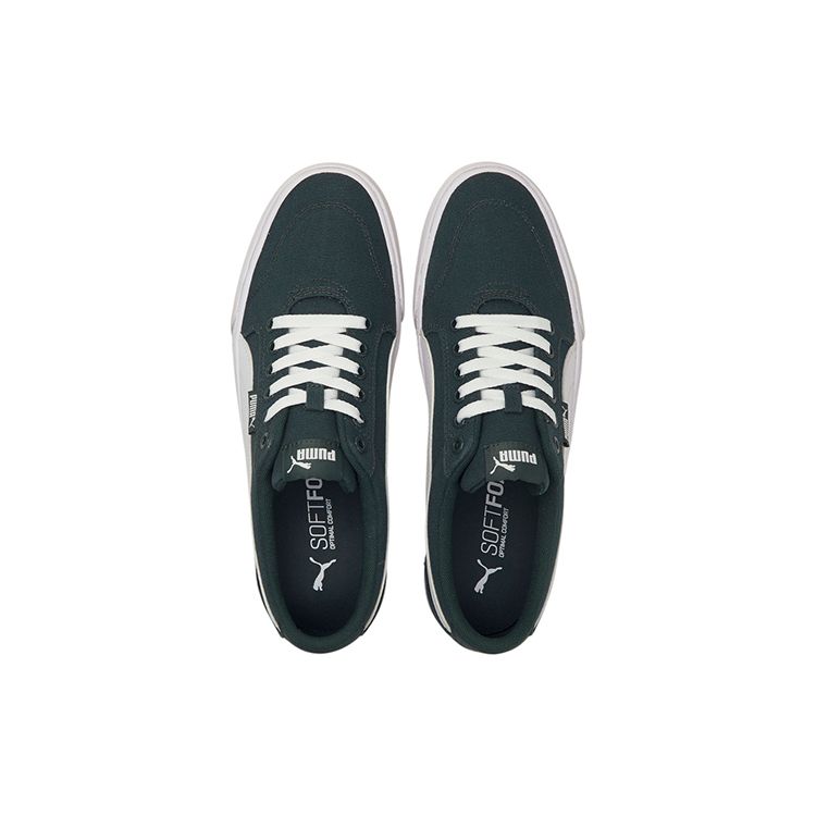 Puma C-Skate Vulc Green Gables Unisex Sneakers White 374901-08