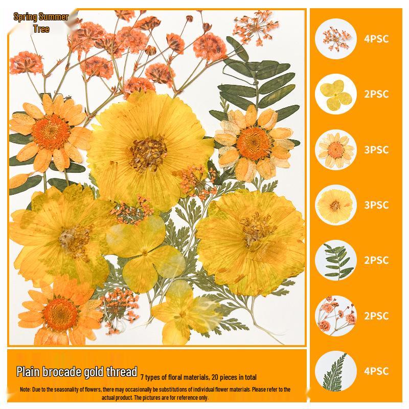 Handmade Pressed Flower Bookmark and Epoxy Sticker Pack with Real Leaf and Plant Specimens for DIY Face Makeup.
