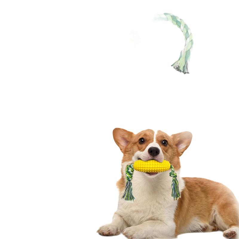 Corn shaped dog chew toy with rope