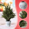 Small Artificial Cypress Christmas Tree Mini Tabletop Xmas Faux Bush In Pot for