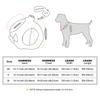 Winter Dog Harness Leash Set Warm Fur Dog Vest And Pet Walking Lead Rope Cute Bowknot Harnesses Soft For Small Medium Dogs Puppy