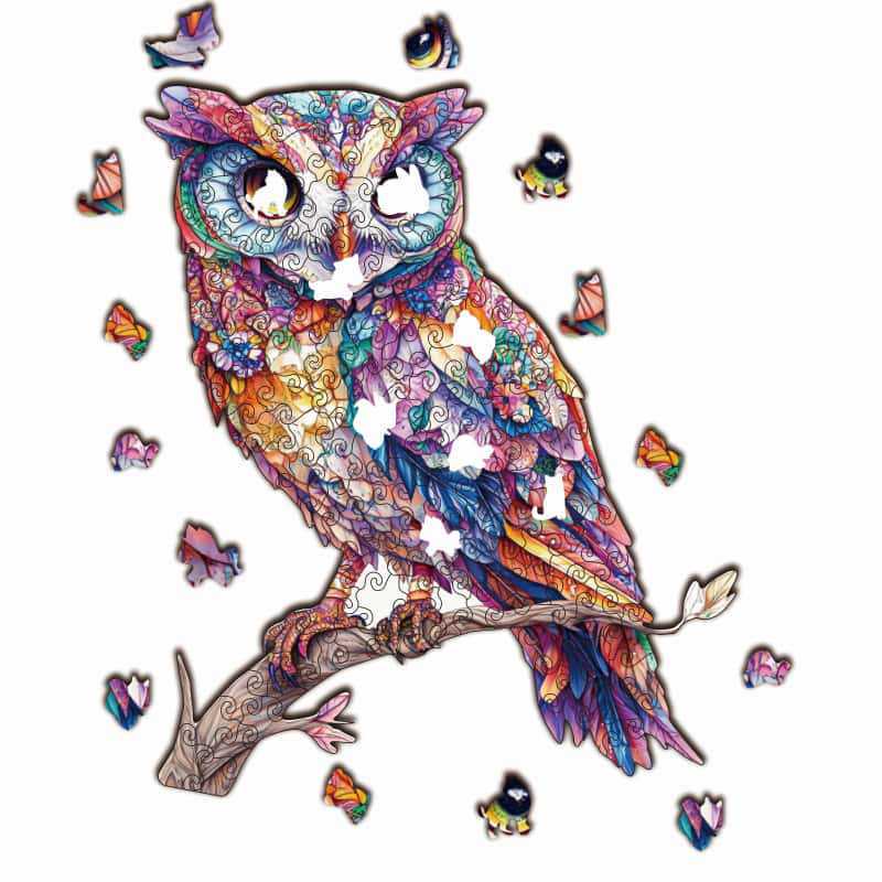 HOOLOOG Original Diamond Owl Wooden Puzzle Toy & Art Decompression Money Box