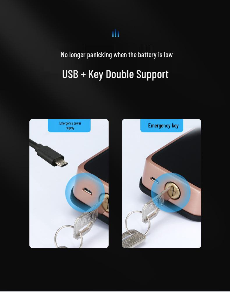 Smart Fingerprint & Password Lock for Wooden Doors - Perfect for Bedrooms, Apartments, and Hotels