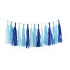 15-Piece Paper Tassel and PET Ribbon Set for Birthday Party Decorations