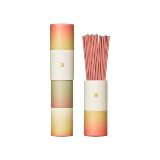 Incense Scentscape Apple & Osmanthus 30 pieces 38219 Nippon Kodo Made in Japan
