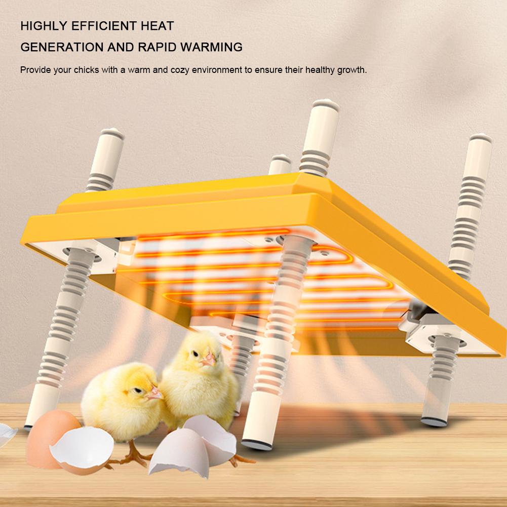 15W Chick Heater Brooder with Acrylic Plate Ease of Cleaning Poultry Heater Adjustable Height and Angle for Chicks