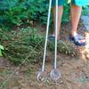 New Stainless Steel Egg Picking Artifact Portable Removable Egg Grabber Adjustable Fruit Picker Farm