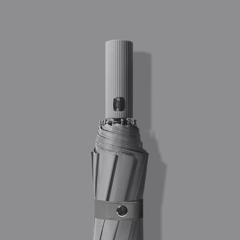 Automatic 12-Rib Umbrella