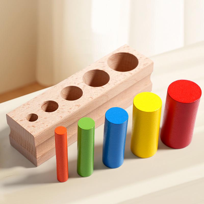 Montessori Wooden Colored Cylinder Blocks: Early Education Teaching Aids for Children