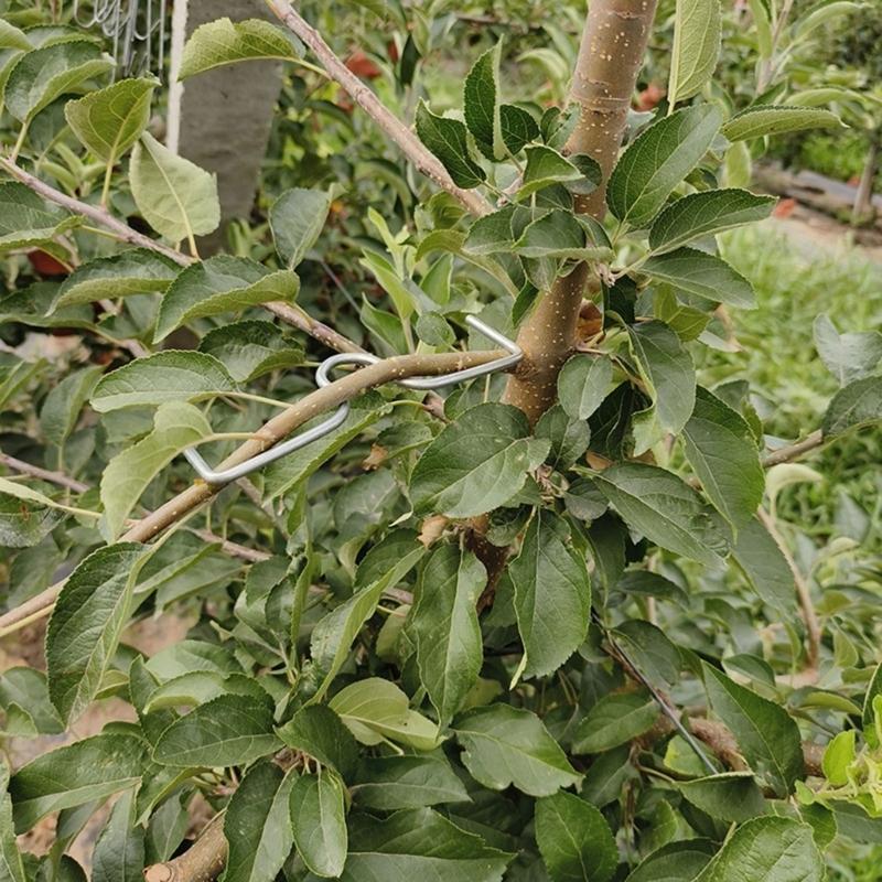 Steel Fruit Tree Shaping and Bending Tools 15 Pack 3 Sizes Branch Positioners Puller For Optimized Sunlight Exposure