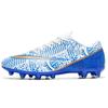 Male Adults' Football Sport Shoes Professional Cleats TF/FG Students Training Society Football Outdoor Shoes Top Quality Football Boots for Sneaker