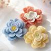 Beginner Friendly Silicone Mould For Crystals Flower Decorations Crafting Home